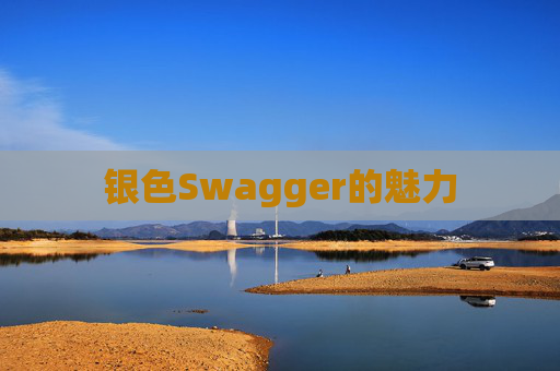 银色Swagger的魅力
